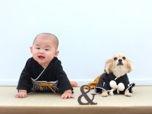 ペット