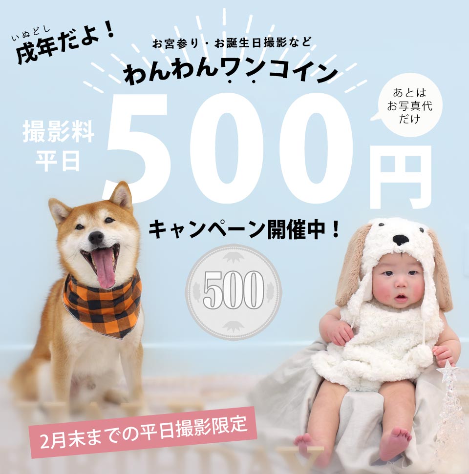 ワンコインキャンペーン