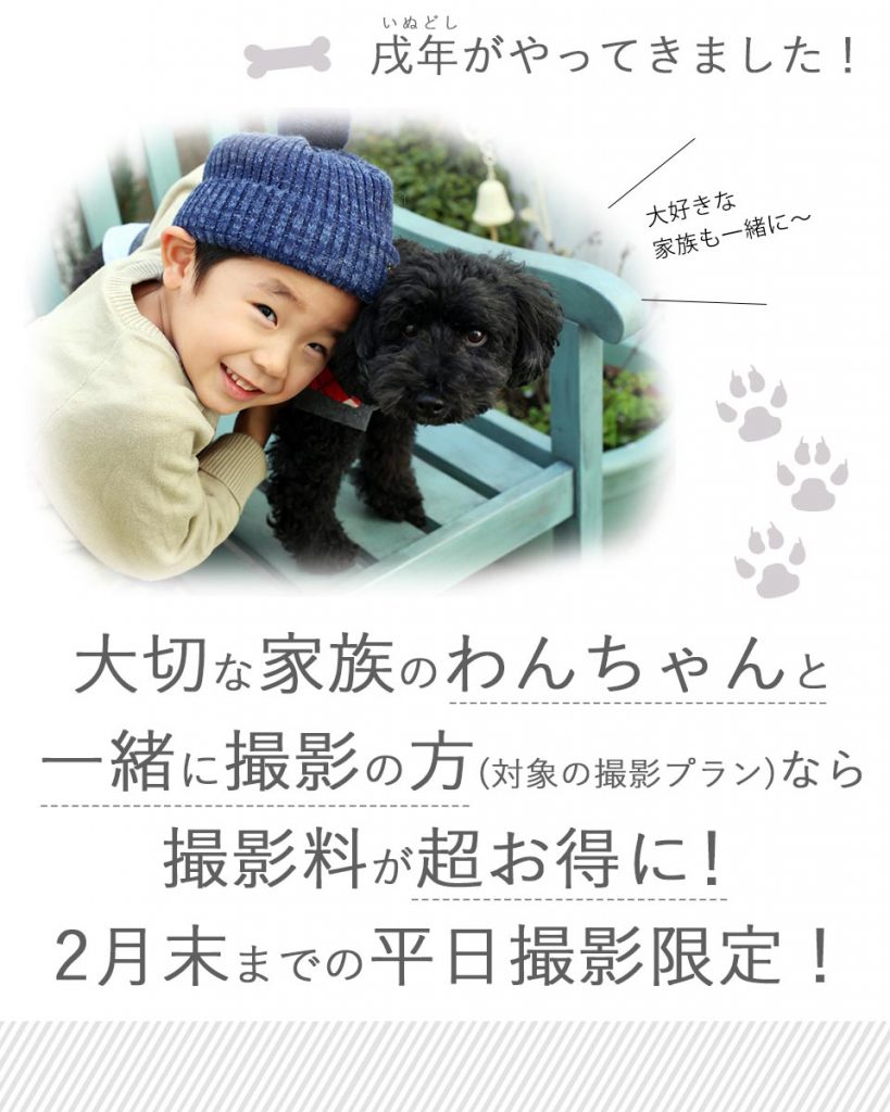 ワンコインキャンペーン