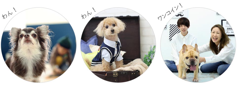 ワンコインキャンペーン