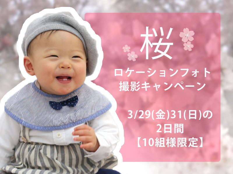 桜ロケーション