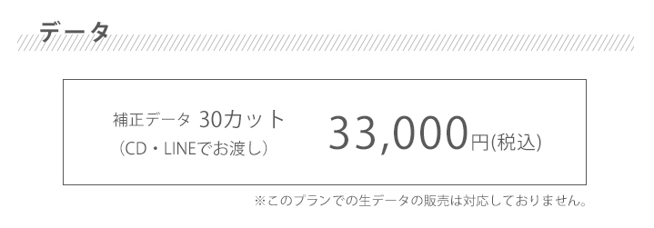 その他のプランデータ