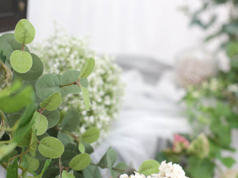 ワンコイン撮影会