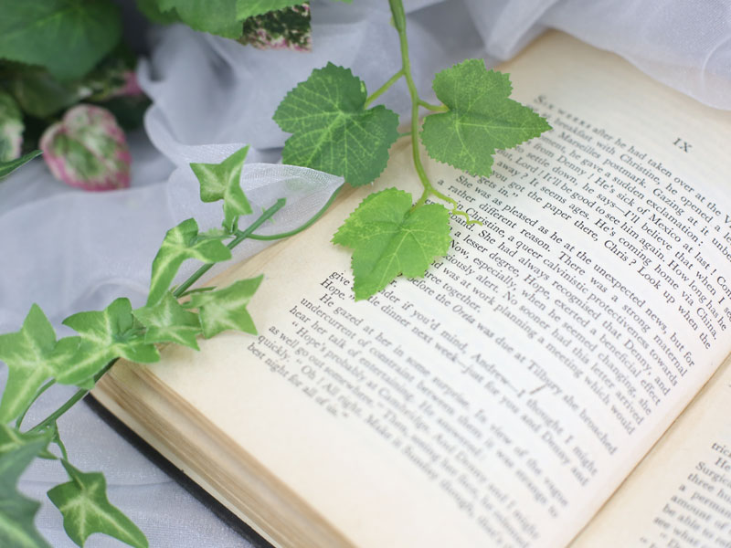 ワンコイン撮影会