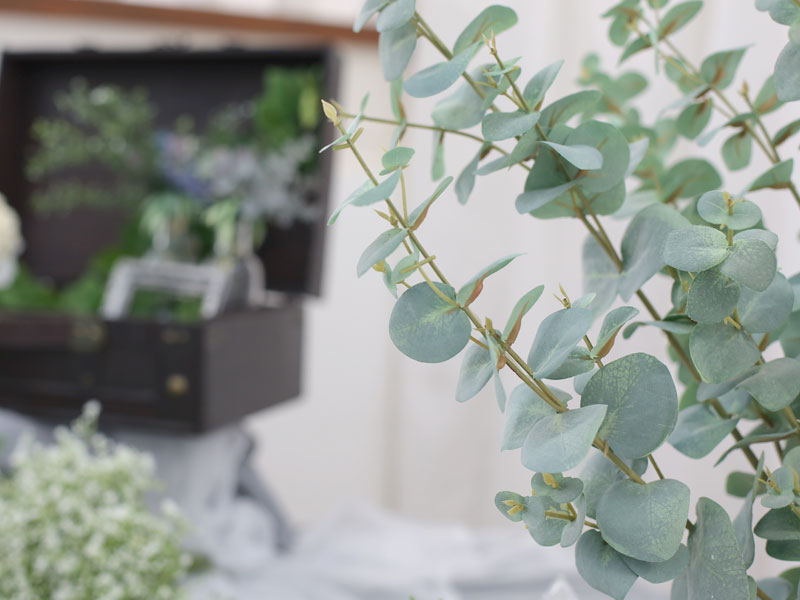 ワンコイン撮影会