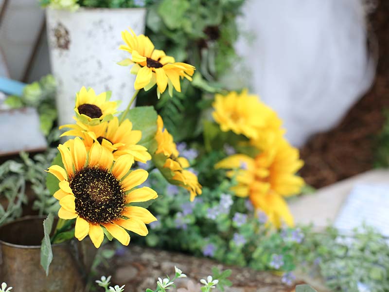 ゆかたキャンペーン