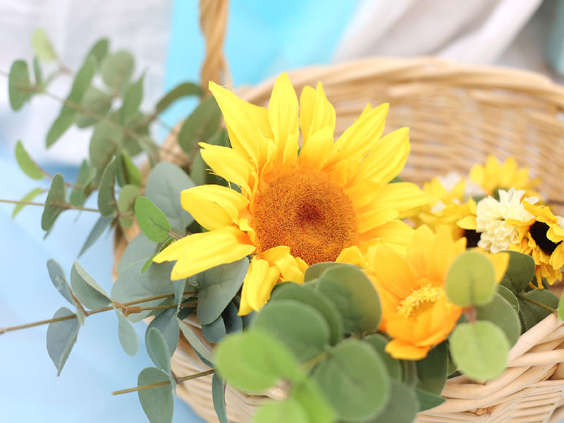 ゆかたキャンペーン