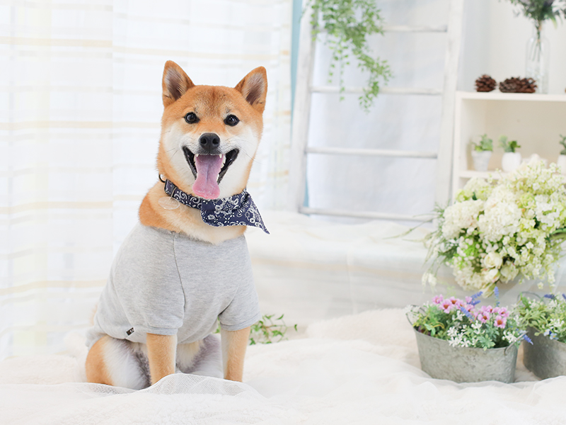 カメラ目線なら任せて！