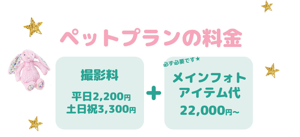 ペット