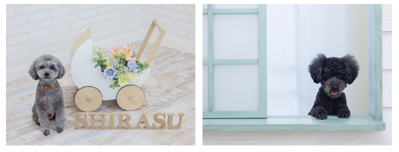 １歳バースデー